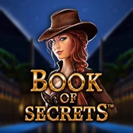 Play the Book of Secrets slot by SYNOT Games on Golden Panda Casino